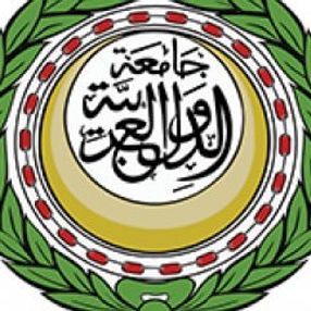 Arap Birliği, Türkiye'nin operasyonunu kınadı