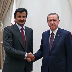 Katar, Barış Pınarı Harekatı'nı destekledi