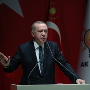Erdoğan, Türkiye'yi kınayan ülkelere cevap verdi