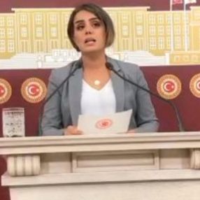 HDP, Barış Pınarı Harekatı yalanlarına devam ediyor