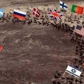 Türkiye'nin durumunu özetleyen fotoğraf