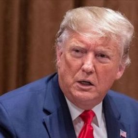 Trump'tan Barış Pınarı Harekatı için yeni saçma açıklama