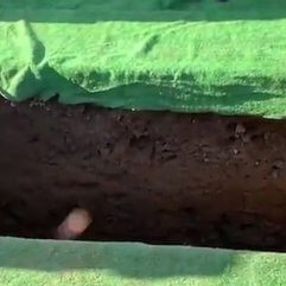 İrlanda'da ilginç cenaze töreni