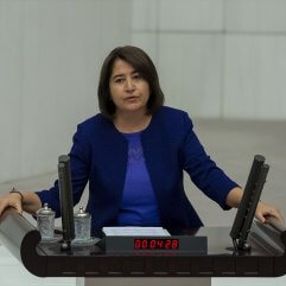 Türk askerine 'işgalci' diyen HDP'liye ABD-Rusya cevabı
