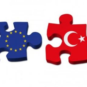 Alman basını Türkiye'yi ortak olarak görmek istiyor