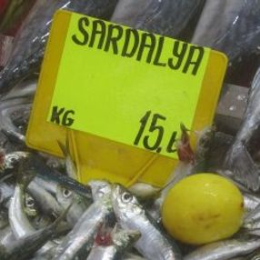 Sardalyanın kilosu 15 liraya düştü
