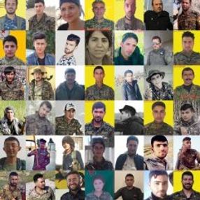 YPG'li teröristler, Mehmetçik karşısında çaresiz