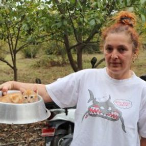 Samsun'da hayvanların kraliçesi 150 hayvana bakıyor