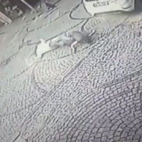 İstanbul'da intihar eden kadını tutmaya çalıştı