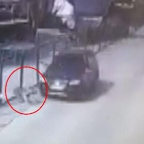 Mama yiyen köpeğe isteyerek çarptı