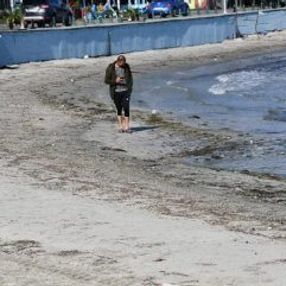 Deniz anaları kıyıya vurdu, tekneler karaya oturdu
