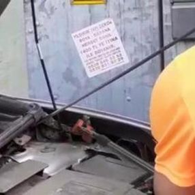 Satın aldığı otomobilin motorundan yılan çıktı