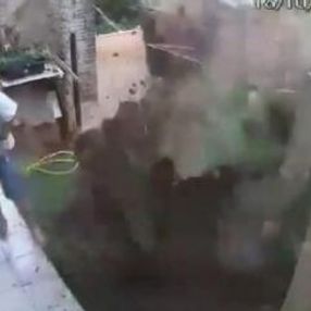 Brezilya'da böcekleri temizlerken bahçesi havaya uçtu