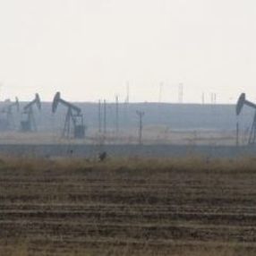 Kamışlı’da petrol çıkıyor Nusaybin’de niye yok