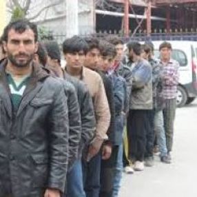 3 kaçak göçmeni İtalya diyerek Büyükada'ya yolladı