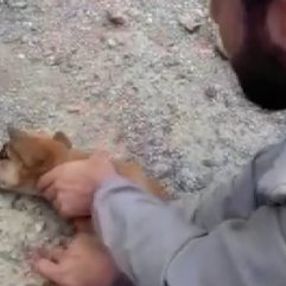 Kafasında bidonla dolaşan köpeği imamlar kurtardı