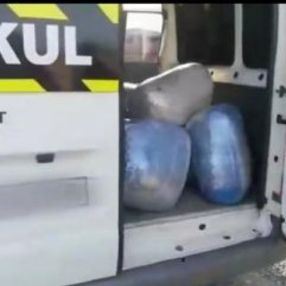Öğrenci servisinden 176 kilo esrar çıktı