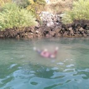 Tekne turu yapan turistler ceset gördü