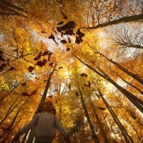 Bolu ve Düzce'den tadına doyulmaz sonbahar manzaraları