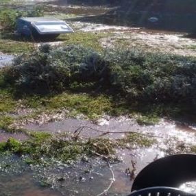 Büyükada'da büyük dalgalar paniğe neden oldu