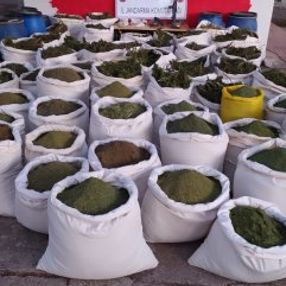 Kıran-5 Operasyonu'nda 1 ton 615 kilo esrar ele geçirildi