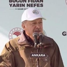 11 milyon fidan topraklarla buluştu
