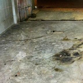 Kızdığı eşinin iş yerine molotofkokteyli attı