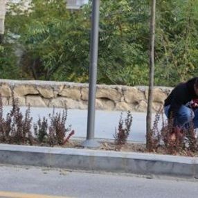 Nevşehir'de ödüllü izmarit toplama kampanyası