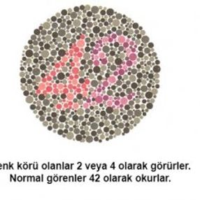 Renk körü olanların polis olamayacağı kesinleşti