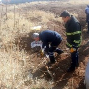 Mardin’de 5 yavru köpeği lağım çukuruna attılar