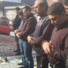 Bursa'da cemaatin kedi sevgisi