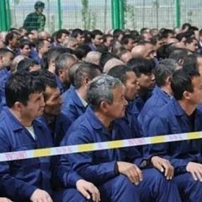 Çin'in Sincan'daki baskı politikasının belgeleri sızdı