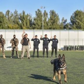 Emniyet müdürlüğünden dedektör köpeğe emeklilik partisi