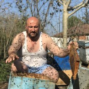 Ordu'da arılar beni tanır dedi peteklerin arasına daldı