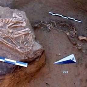 Cilalı Taş Devri'ne ait ibadet eşyaları kalıntıları