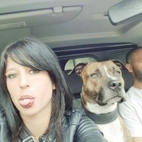 Fransa'da avcı köpekleri, hamile kadını ısırarak öldürdü