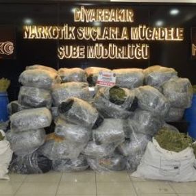 Diyarbakır'da 559 kilo esrar ele geçirildi