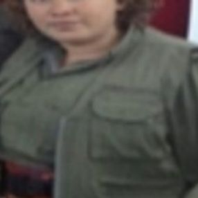 PKK'nın üst düzey örgüt mensubu Beraat Afşin öldürüldü