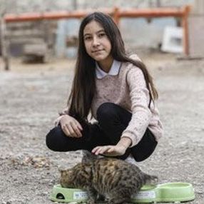 Sokak kedilerine harçlığı yetmeyince KDK'dan yardım aldı