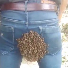 Arı sürüsü işçinin üzerine dadandı