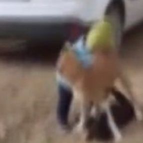 Kahramanmaraş'ta küçük çocuğun köpeğini koruduğu anlar