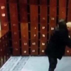 İstanbul'da cami hırsızı kameralara yakalandı