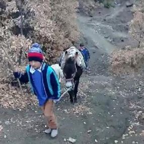İki kardeş okula gidebilmek için her gün 3 kilometre yürüyor