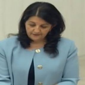 Pervin Buldan'dan kayyum eleştirisi