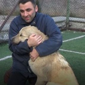 Artvin'de sokak köpeğini kovalayan adam af diledi