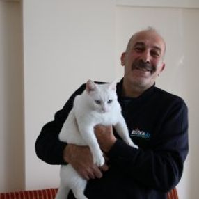 Otobüs şoförü kediyi yaşama döndürdü