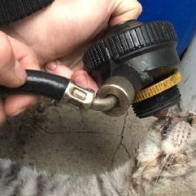 Dumandan etkilenen kedi hayata döndürüldü