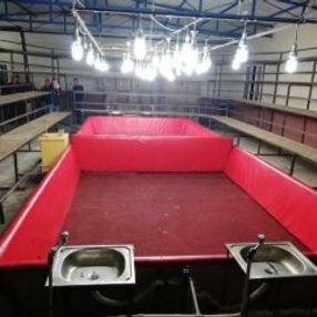 İzmir'de kanatlı hayvanları koruma derneğinde horoz dövüşü
