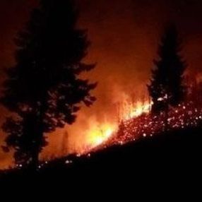 Karadeniz'de 4 ilde yangın