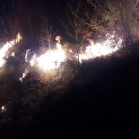 Karadeniz'de tüm yangınlar kontrol altına alındı
